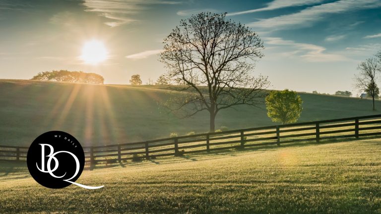 Sunrise over a quiet field symbolizing Bible quotes about healing for difficult times