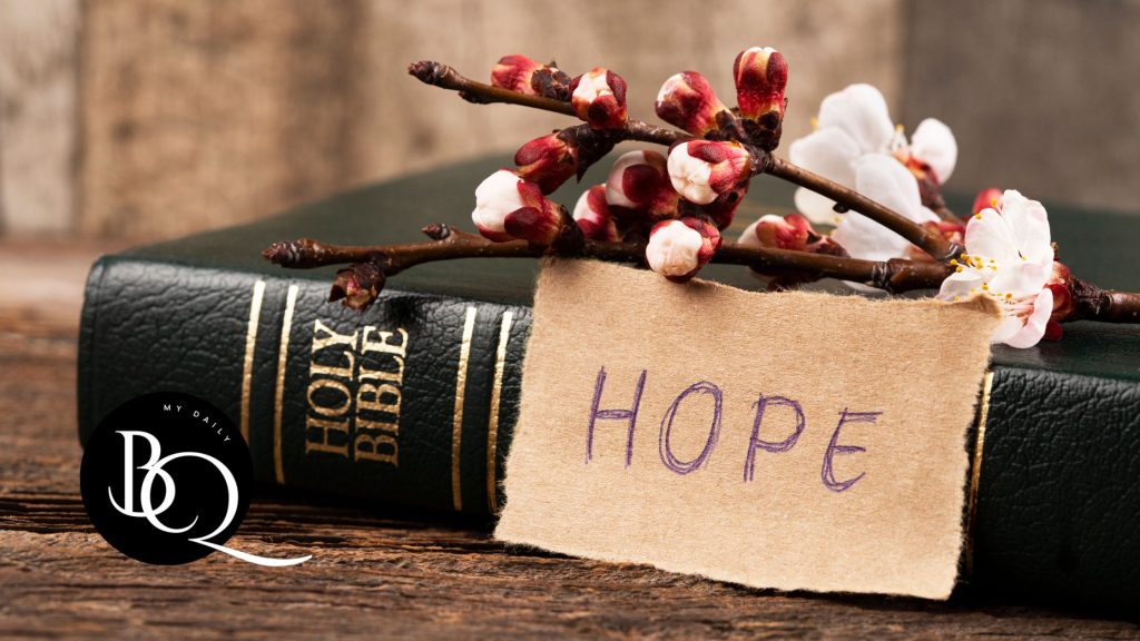 Bible Verses About Hope - The word 'Hope' written beside a closed Bible with cherry blossoms on top